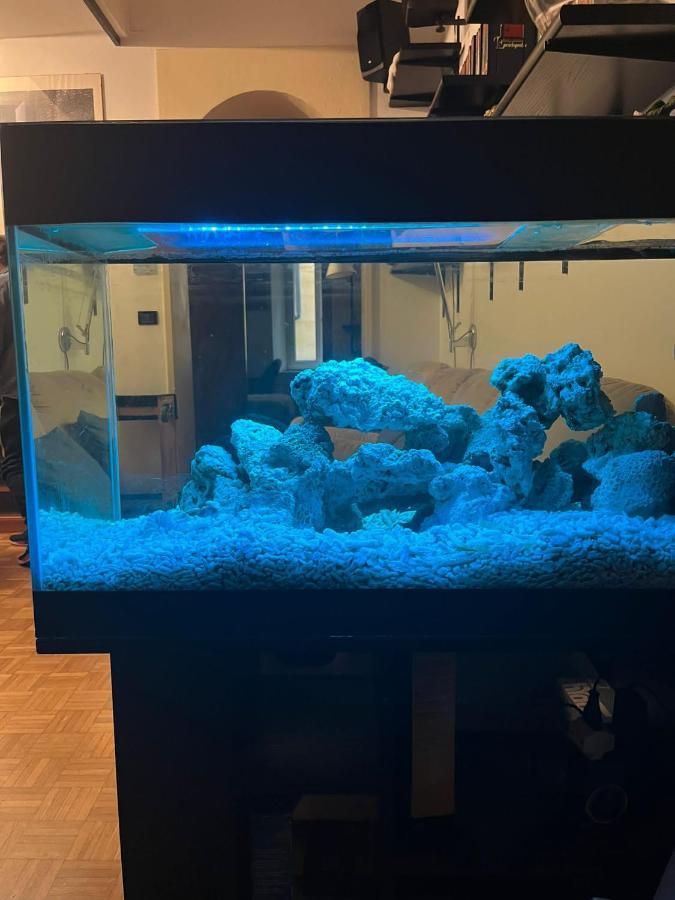 Apartamento Red Sun Acquarium Bolonia Exterior foto